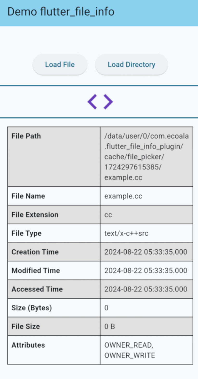 flutter_file_info Card Image