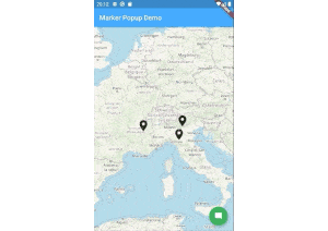 flutter_map_marker_popup Card Image