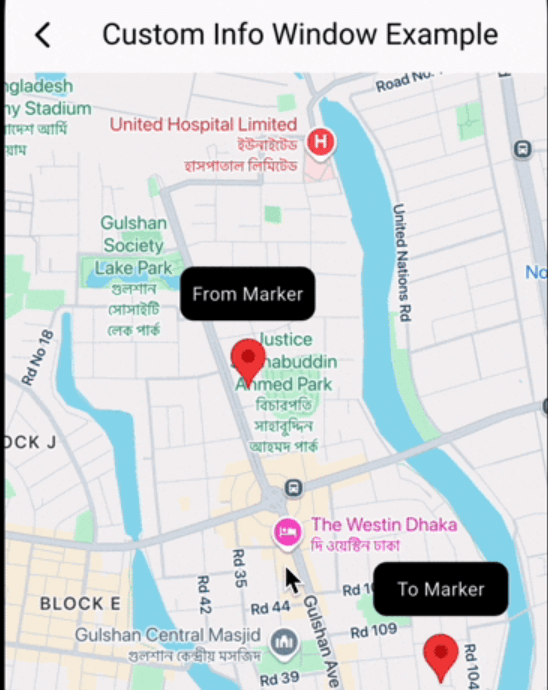 google_map_custom_windows Card Image