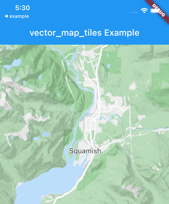 vector_map_tiles Card Image